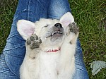 c_070613_1.JPG
