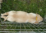 c_070613_3.JPG
