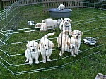 c_070613_5.JPG