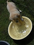 c_090613_1.JPG