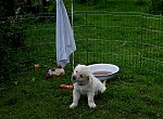 c_120613_3.JPG