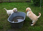 c_120613_4.JPG