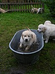 c_120613_6.JPG