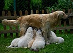 c_120613_7.JPG